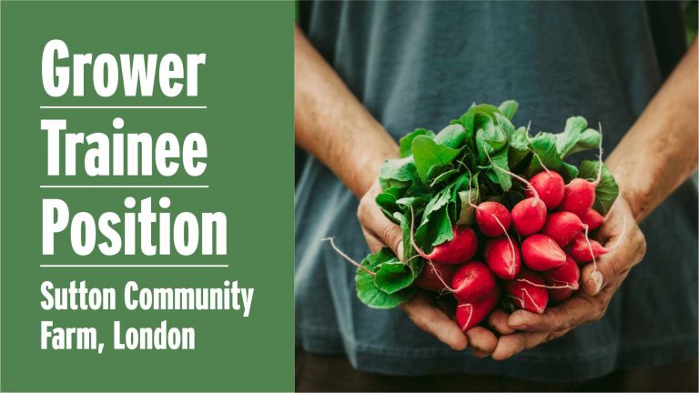 Grower Trainee Position At Sutton Community Farm London Closes 21st