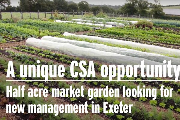 CSA Opportunity Image