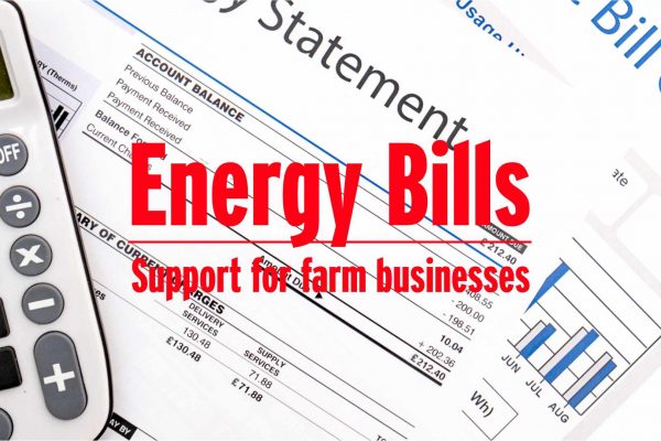 Energy Bills Government support image