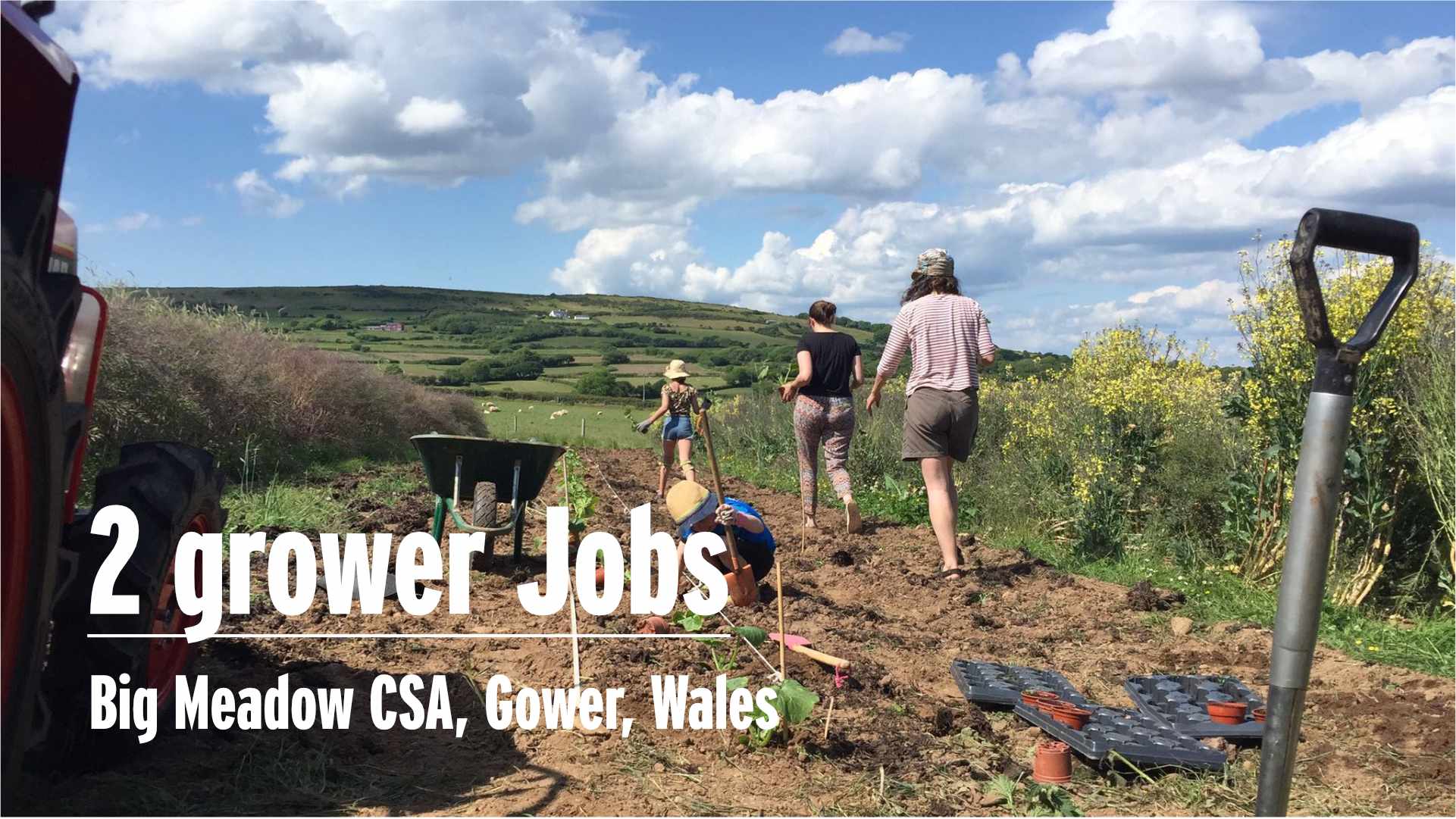 Big Meadow grower jobs image