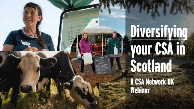 Diversify - Scotland - image