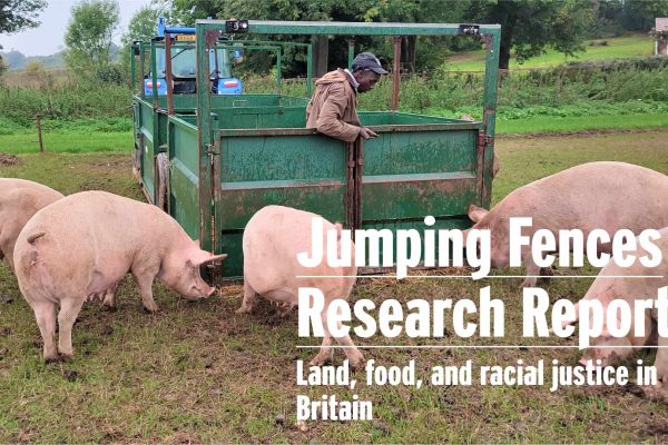Jumping Fences Report - Image