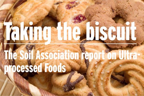 Take the biscuit image