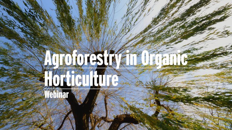 Agroforestry - Image