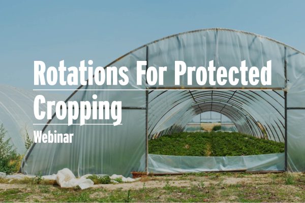 Rotations for protected cropping - image