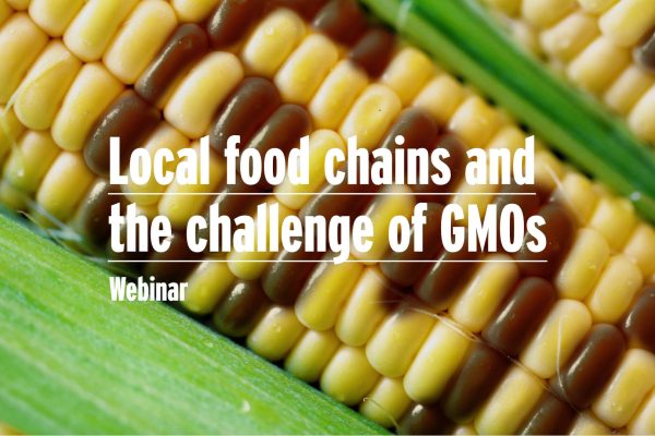 Food Chain GMO - Image