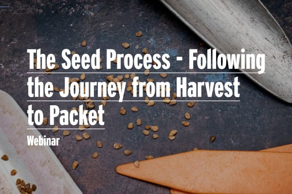 Seed Process IMage
