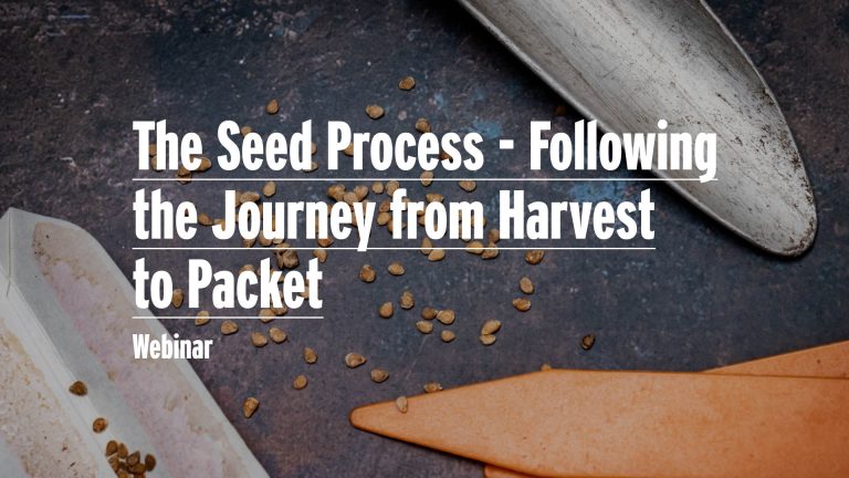 Seed Process IMage