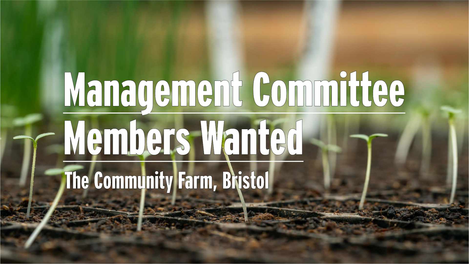 Community Farm - Management Committee - Image