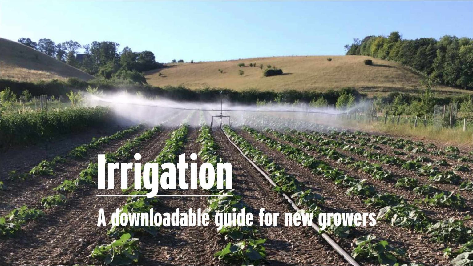 Irrigation – A ‘downloadable’ guide and Webinar for new growers by Pete ...