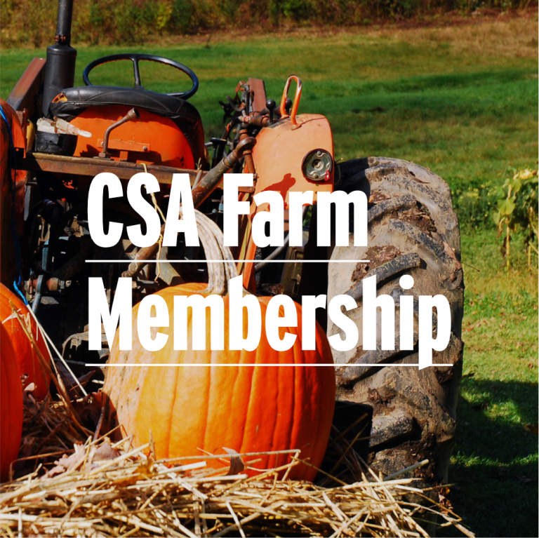 CSA Farm Membership - Square