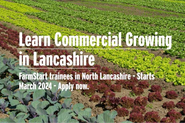 Learn Commercial Growing in North Lancashire - Image