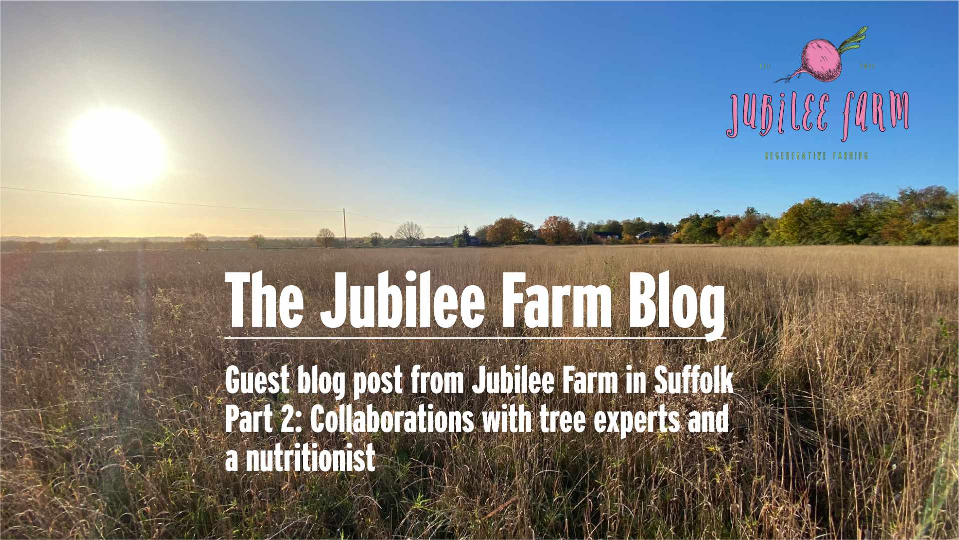 The Jubilee Farm Blog – Part 2