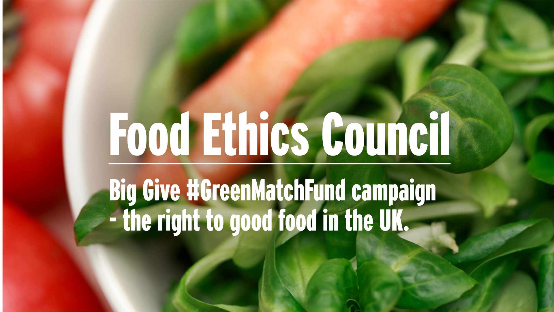 Big Give GreenMatchFund Campain – The Food Ethics Council