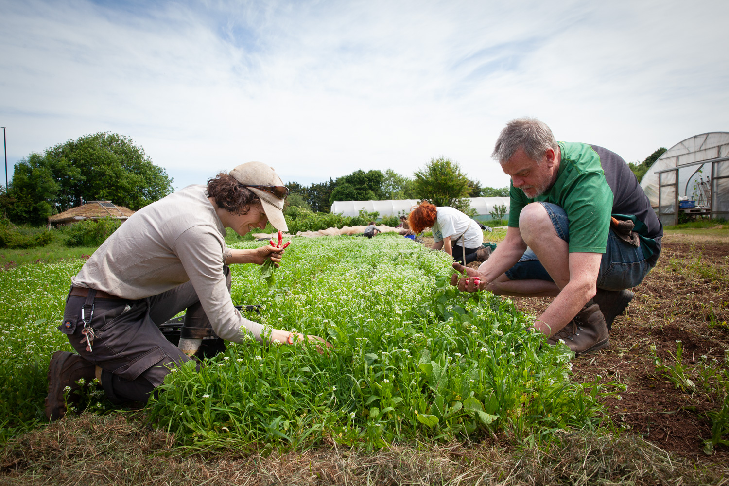 We are hiring a new Membership Manager!