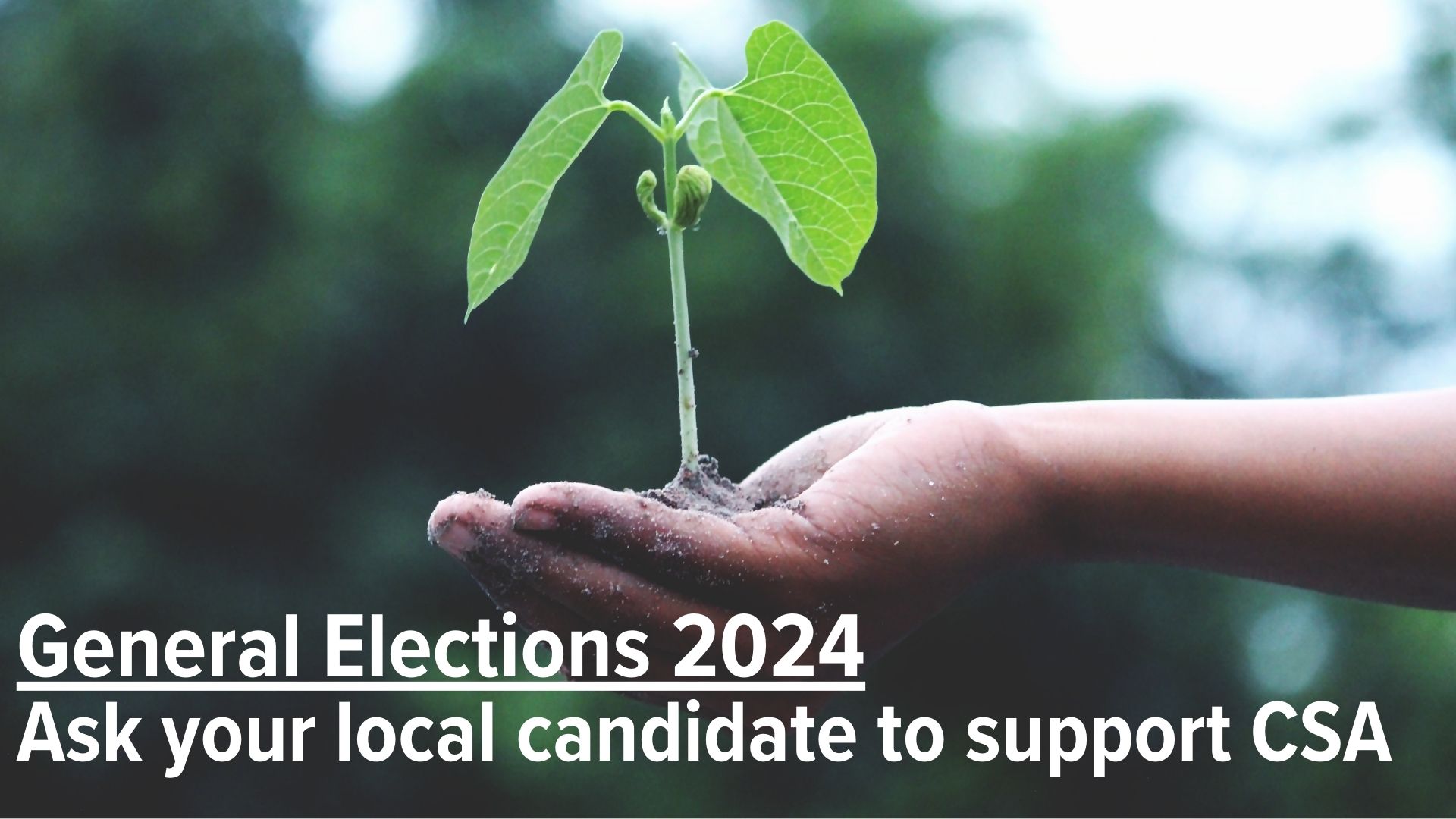 General Election 2024 – ask your local candidate to support CSA!