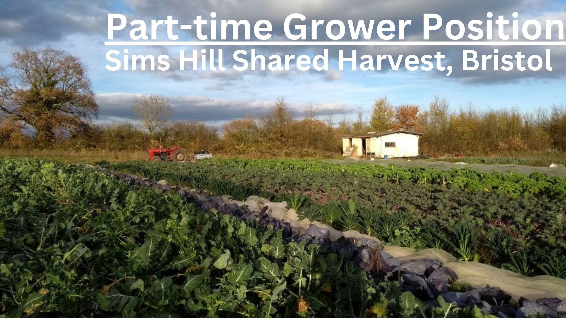 Part-time Grower Opportunity – Sims Hill Shared Harvest – Closes 15th August 2024