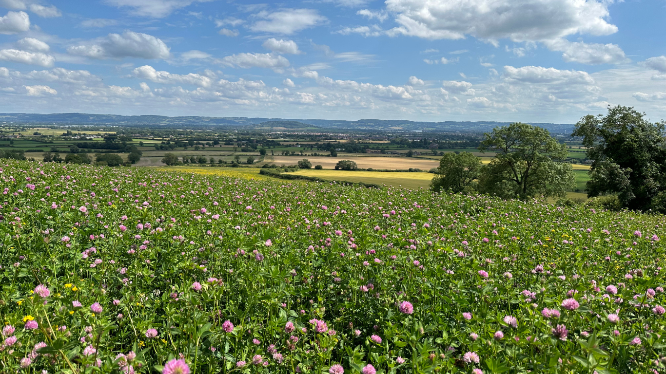 Joint venture opportunity: Norton Court Farm