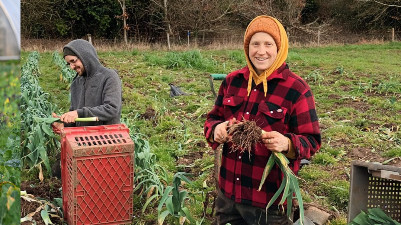 Job opportunity: Lead Grower and Manager at Canalside Community Food