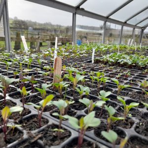 Grow Your Own CSA Course - Starts September 2025 - CSA Network Members