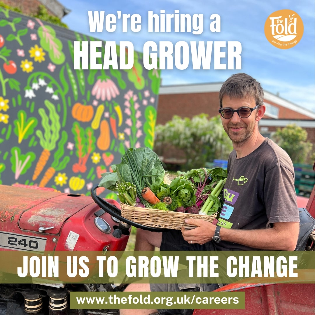 Head Grower at The Fold Community Farm