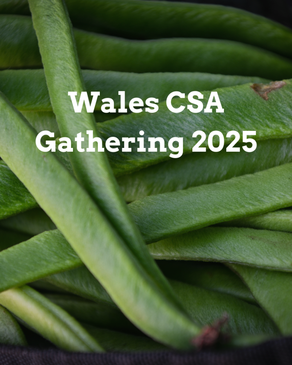 Wales CSA Gathering (non-members)