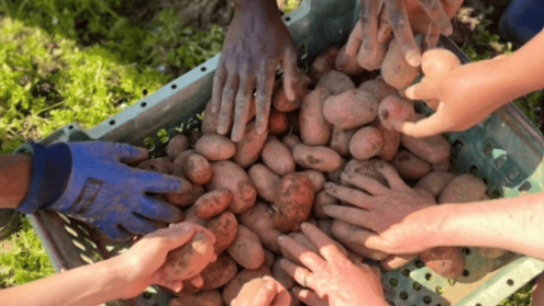 New! Growing inclusion in your CSA through twinning