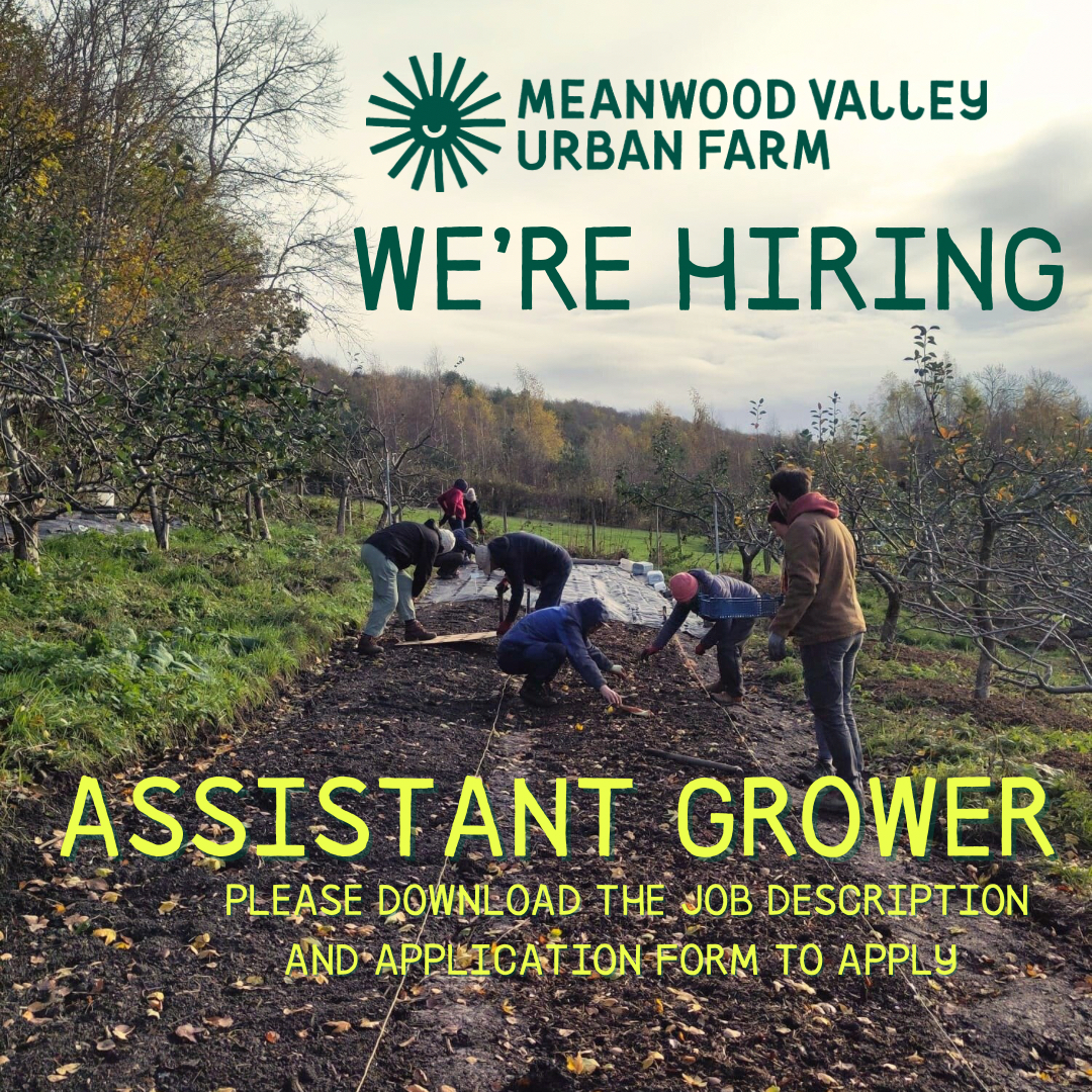 Assistant grower at Meanwood Valley Urban Farm, Leeds