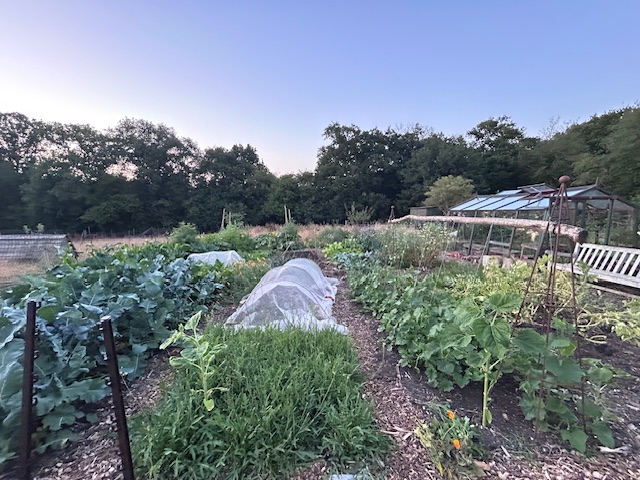 Market gardener at Stone Farm, East Sussex