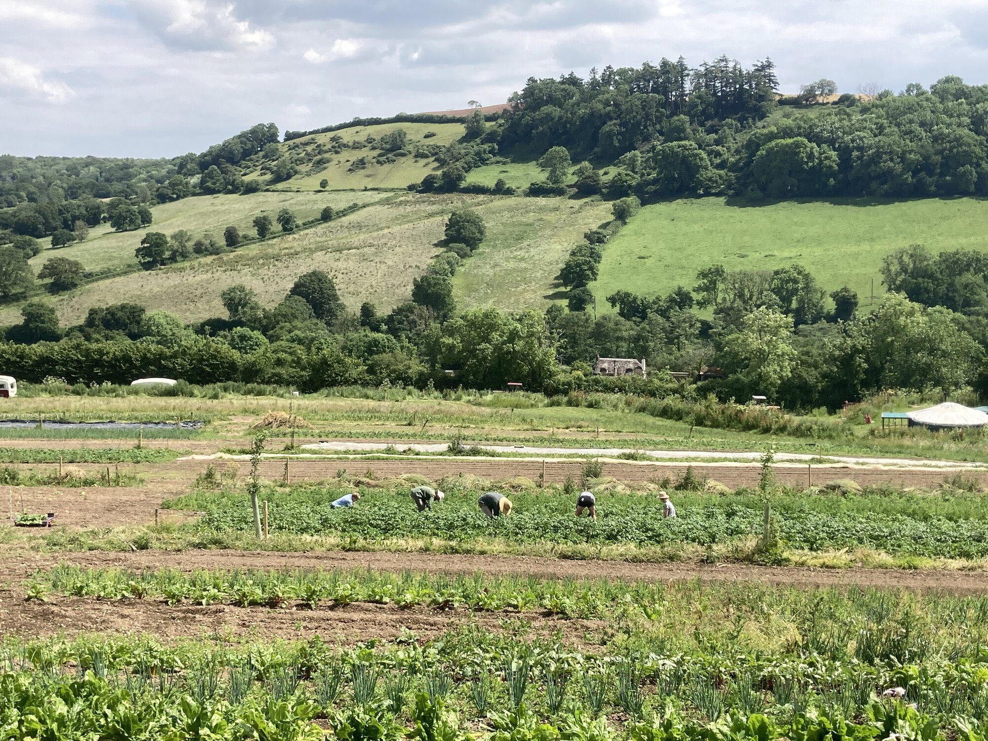 The 2026 Sustainable Farming Incentive