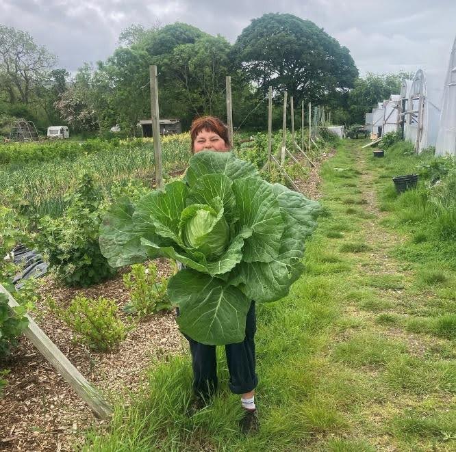 The CSA Incubator programme 2 years on…