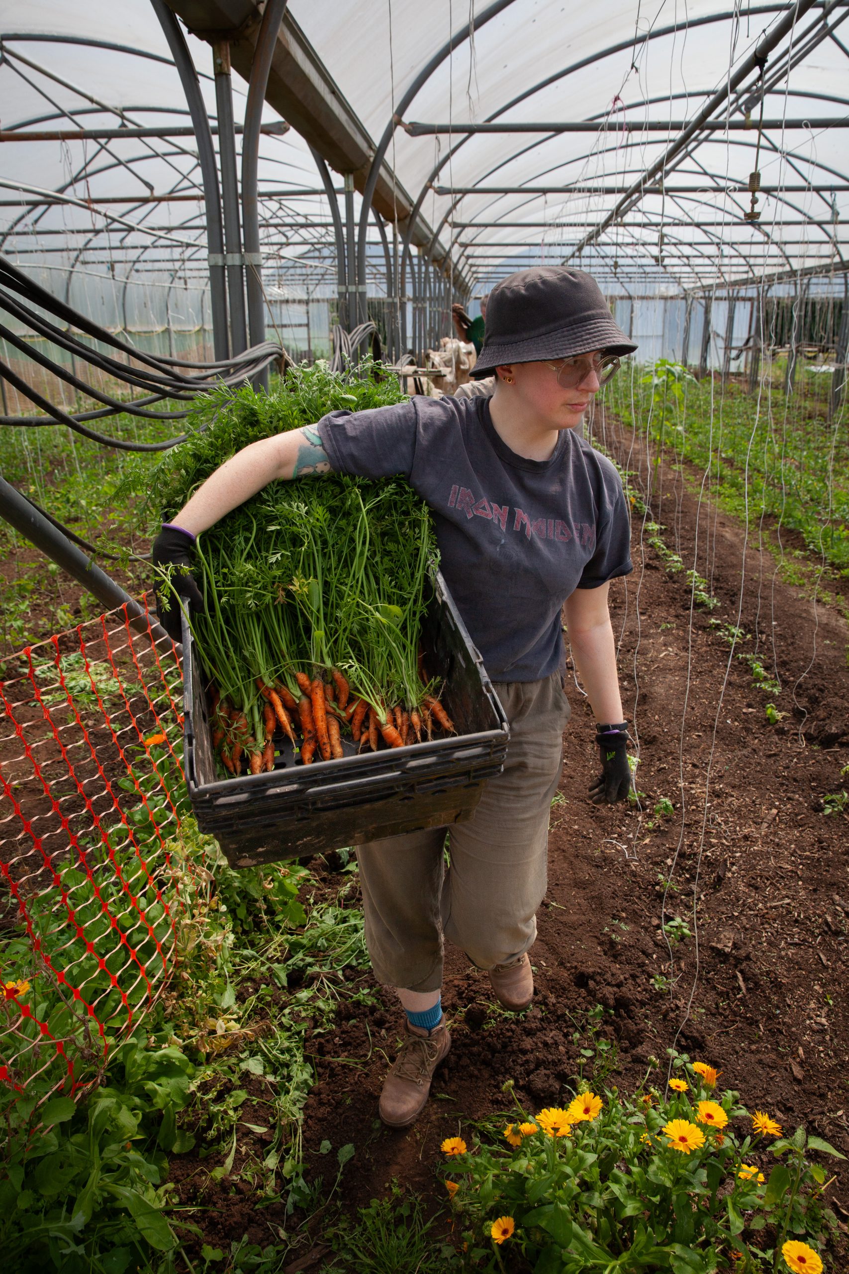 Local councils in England awarded Defra funding for local procurement 