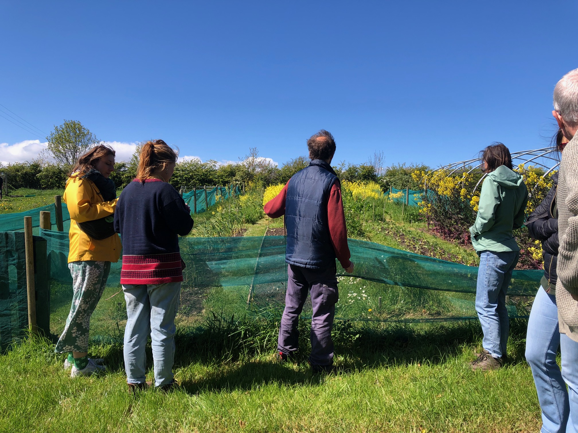 Our Summer Solstice newsletter
