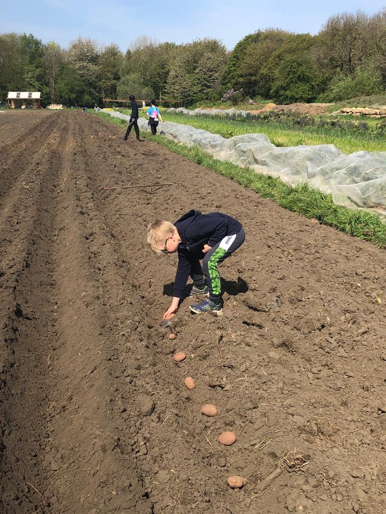 We are hiring a freelance Friendly Farms Activity Coordinator
