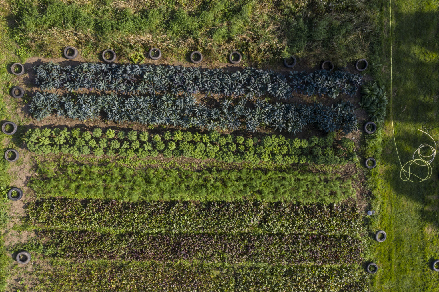 Curated visual reference: Sustainable Farming Incentive 2026 Everything You Need To Know To Photo Inspiration