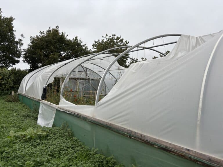 Climate resilient growing webinar